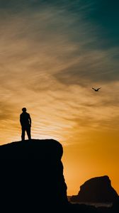 Preview wallpaper silhouette, rocks, sunset, sea, bird