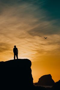 Preview wallpaper silhouette, rocks, sunset, sea, bird