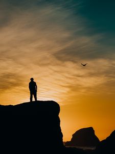 Preview wallpaper silhouette, rocks, sunset, sea, bird