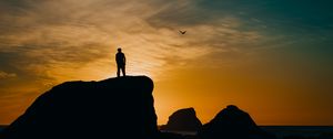 Preview wallpaper silhouette, rocks, sunset, sea, bird