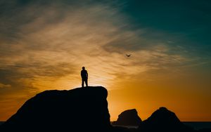 Preview wallpaper silhouette, rocks, sunset, sea, bird