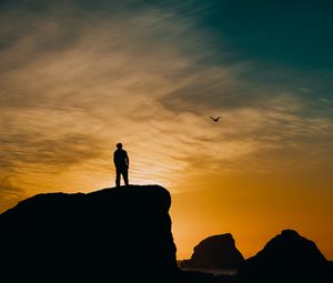 Preview wallpaper silhouette, rocks, sunset, sea, bird