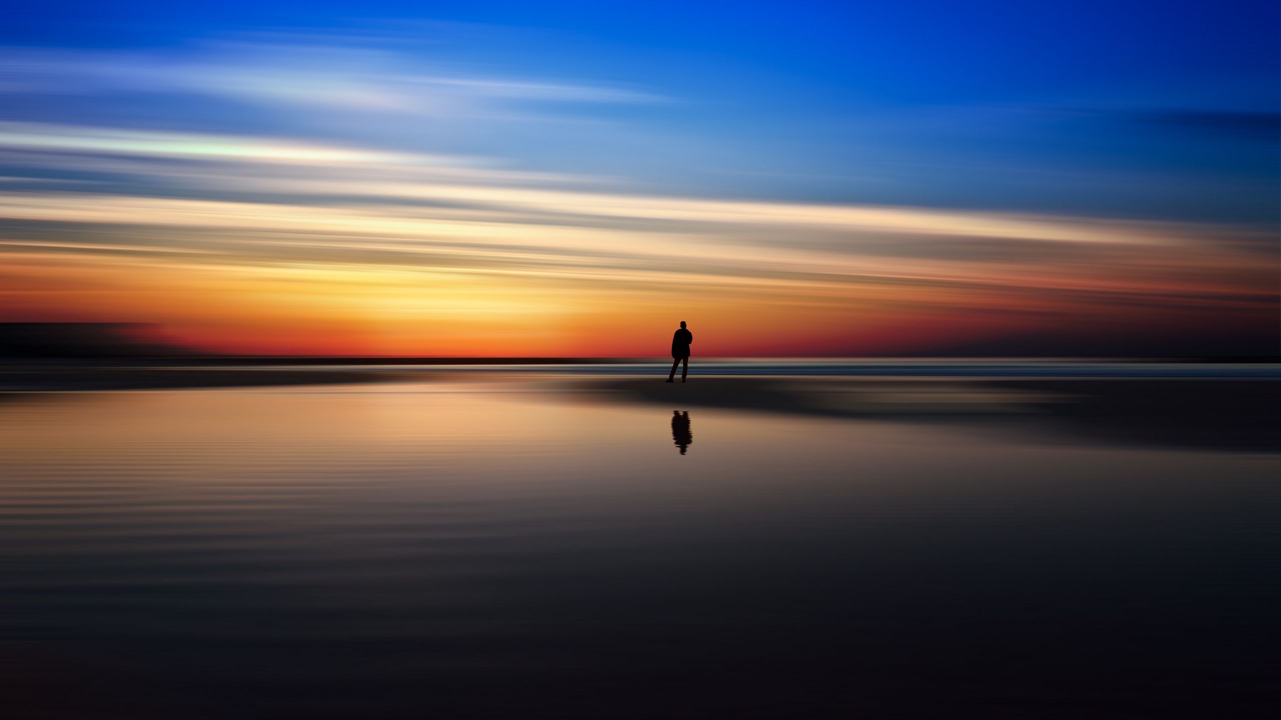 Download wallpaper 2560x1440 silhouette, sea, evening, horizon ...