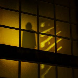Preview wallpaper silhouette, shadow, window, dark