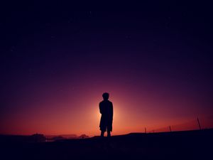 Preview wallpaper silhouette, sky, night