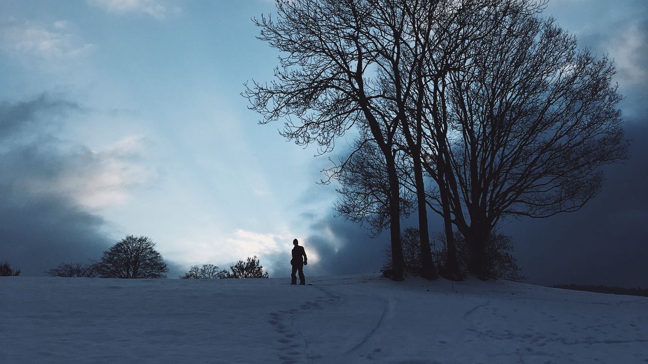 Wallpaper silhouette, snow, winter, tree, sky