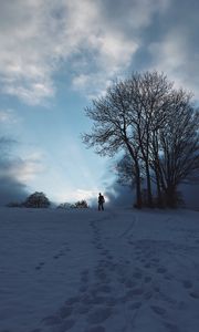 Preview wallpaper silhouette, snow, winter, tree, sky