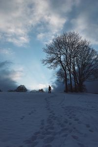 Preview wallpaper silhouette, snow, winter, tree, sky