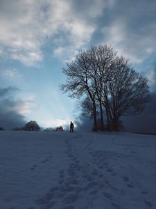 Preview wallpaper silhouette, snow, winter, tree, sky
