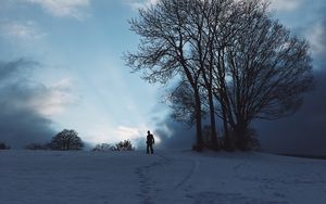 Preview wallpaper silhouette, snow, winter, tree, sky