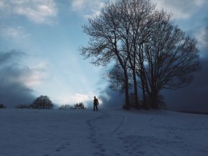 Preview wallpaper silhouette, snow, winter, tree, sky