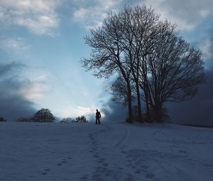 Preview wallpaper silhouette, snow, winter, tree, sky