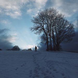 Preview wallpaper silhouette, snow, winter, tree, sky