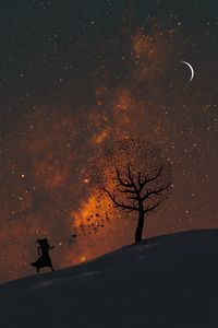 Preview wallpaper silhouette, starry sky, art, music, wood