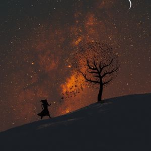 Preview wallpaper silhouette, starry sky, art, music, wood