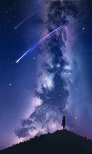 Preview wallpaper silhouette, starry sky, milky way, art