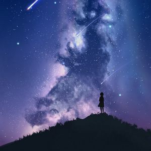 Preview wallpaper silhouette, starry sky, milky way, art