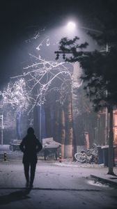 Preview wallpaper silhouette, street, night, snow