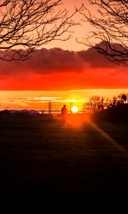 Preview wallpaper silhouette, sunset, alone, solitude, walk, trees