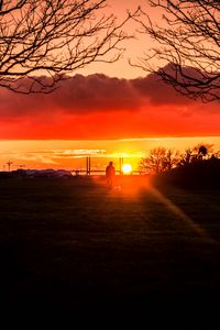 Preview wallpaper silhouette, sunset, alone, solitude, walk, trees