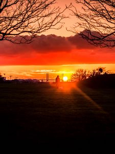 Preview wallpaper silhouette, sunset, alone, solitude, walk, trees