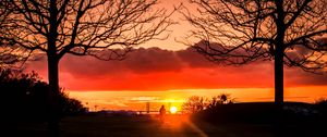 Preview wallpaper silhouette, sunset, alone, solitude, walk, trees