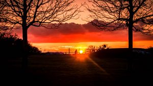 Preview wallpaper silhouette, sunset, alone, solitude, walk, trees