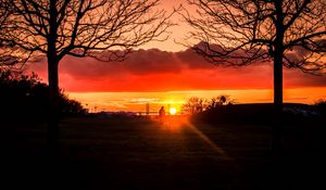 Preview wallpaper silhouette, sunset, alone, solitude, walk, trees