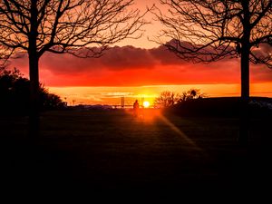 Preview wallpaper silhouette, sunset, alone, solitude, walk, trees