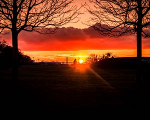 Preview wallpaper silhouette, sunset, alone, solitude, walk, trees