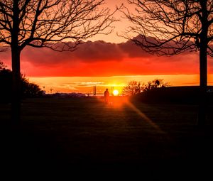 Preview wallpaper silhouette, sunset, alone, solitude, walk, trees