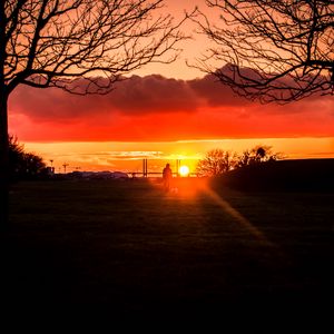 Preview wallpaper silhouette, sunset, alone, solitude, walk, trees