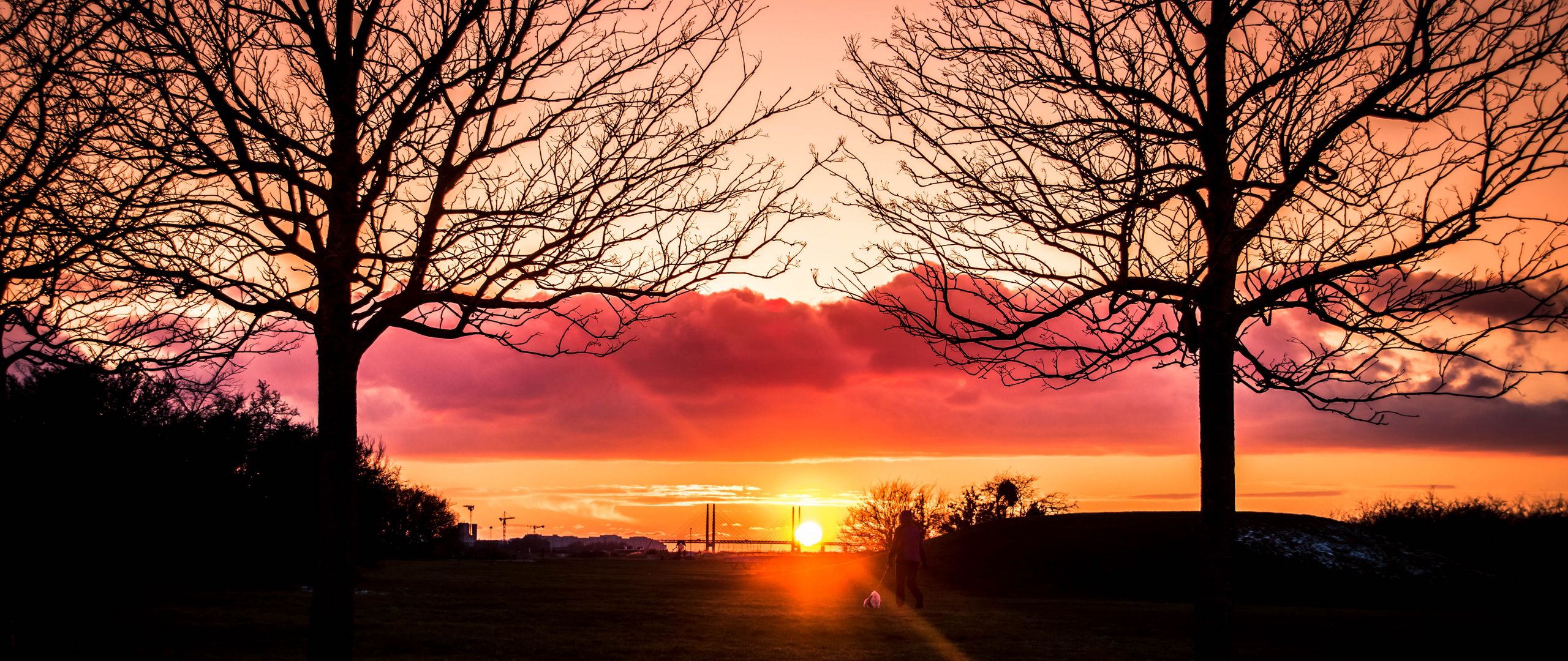 Download wallpaper 2560x1080 silhouette, sunset, alone, solitude