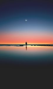 Preview wallpaper silhouette, sunset, ocean, horizon, loneliness, kalaloch, united states