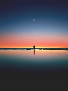 Preview wallpaper silhouette, sunset, ocean, horizon, loneliness, kalaloch, united states