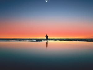 Preview wallpaper silhouette, sunset, ocean, horizon, loneliness, kalaloch, united states