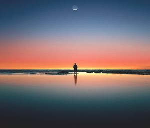 Preview wallpaper silhouette, sunset, ocean, horizon, loneliness, kalaloch, united states