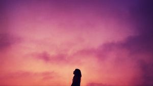Preview wallpaper silhouette, sunset, sky