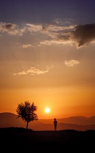 Preview wallpaper silhouette, sunset, tree, loneliness, sunlight