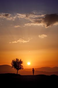 Preview wallpaper silhouette, sunset, tree, loneliness, sunlight