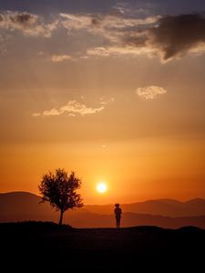 Preview wallpaper silhouette, sunset, tree, loneliness, sunlight