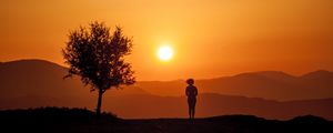 Preview wallpaper silhouette, sunset, tree, loneliness, sunlight