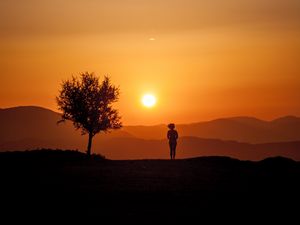 Preview wallpaper silhouette, sunset, tree, loneliness, sunlight