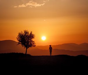 Preview wallpaper silhouette, sunset, tree, loneliness, sunlight