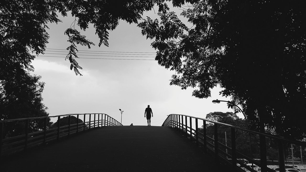 Wallpaper silhouette, trees, bw, walk, lonely, loneliness