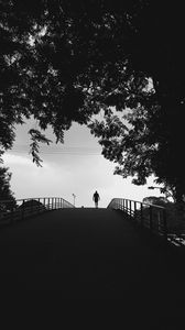 Preview wallpaper silhouette, trees, bw, walk, lonely, loneliness