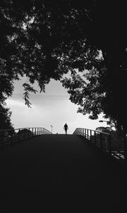 Preview wallpaper silhouette, trees, bw, walk, lonely, loneliness