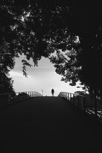 Preview wallpaper silhouette, trees, bw, walk, lonely, loneliness