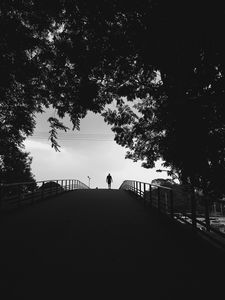 Preview wallpaper silhouette, trees, bw, walk, lonely, loneliness