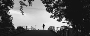 Preview wallpaper silhouette, trees, bw, walk, lonely, loneliness